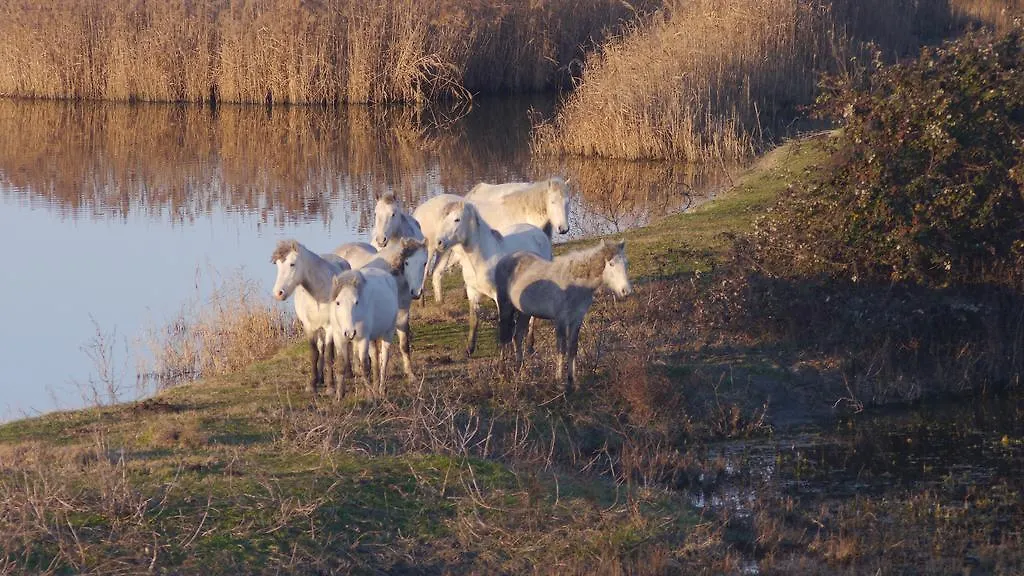 Villa Villetta 2C Llido Degli Estensi