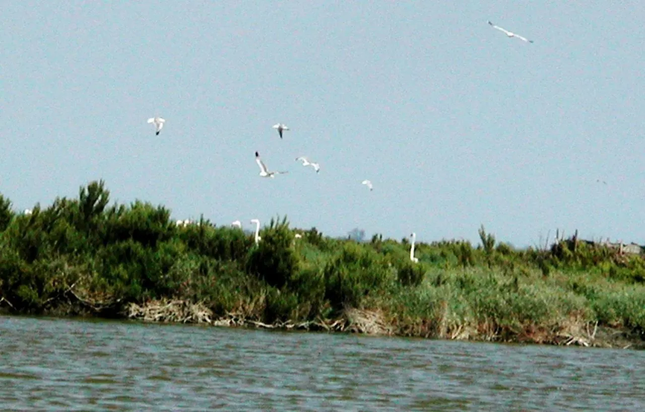 Villetta 2C Llido Degli Estensi 0*,  Itálie